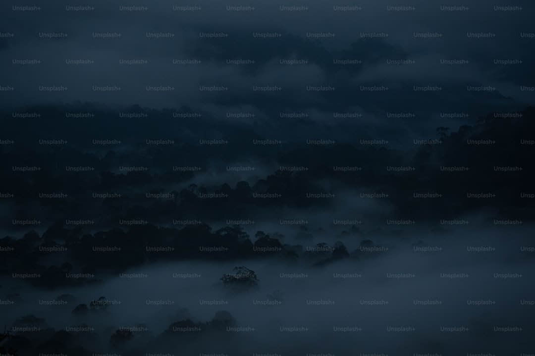 韩国“神话王国”南怡岛绝美夏景_